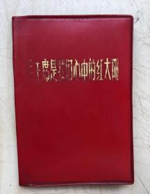毛主席是我们心中的红太阳（64开，红塑料皮，毛林合影完整无损）（相片集）（自然旧）