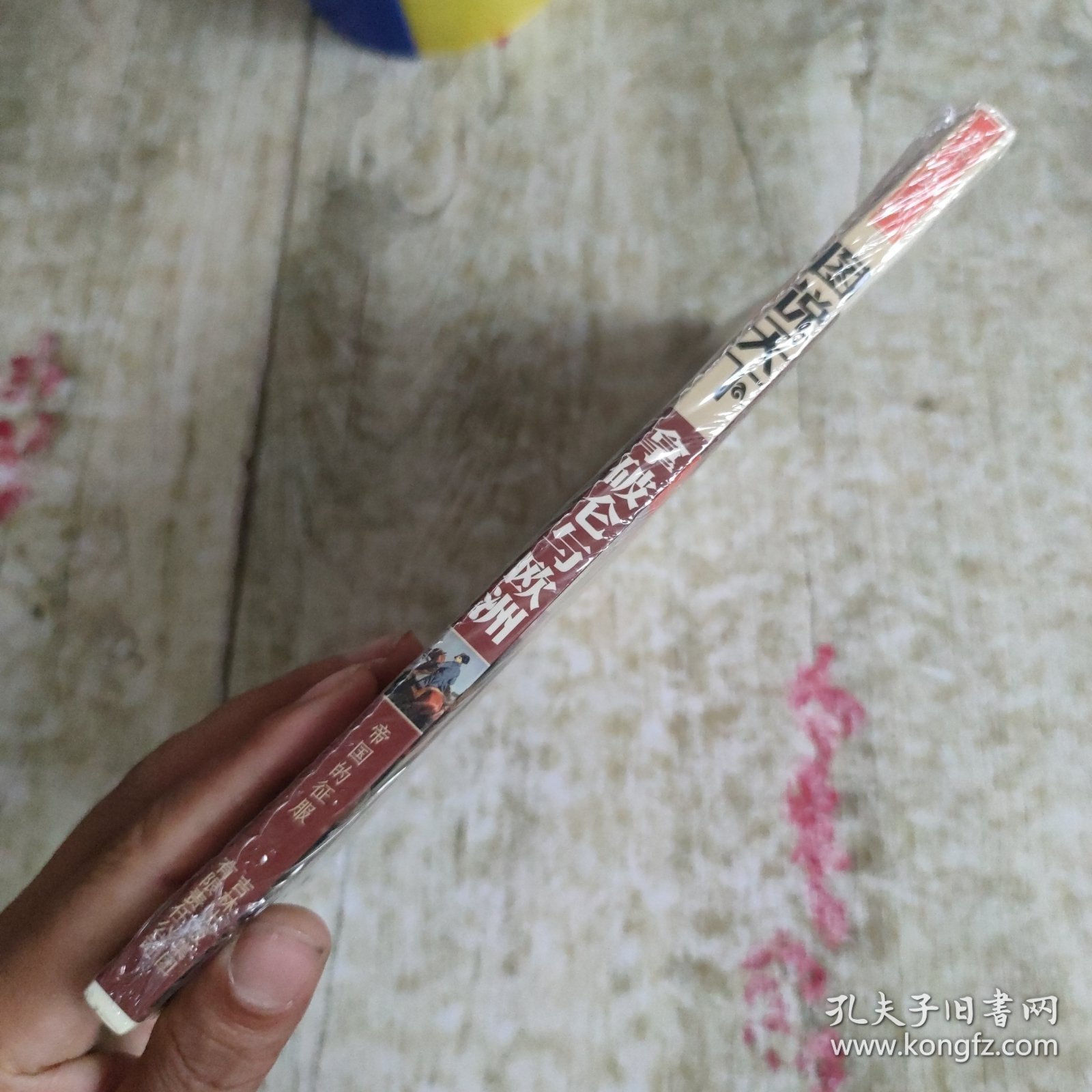 图说天下·世界历史系列：拿破仑与欧洲：帝国的征服