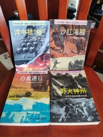 不朽的功勋丛书（野火神州+白星逐日+洋中猎狼+沙红海腥）四本合售