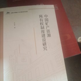 中国矿产资源所有权制度建设研究
