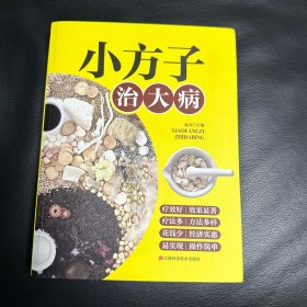 小方子治大病   中医书籍养生偏方大全民间老偏方美容养颜常见病防治 保健食疗偏方秘方大全小偏方老偏方中医健康养生保健疗法