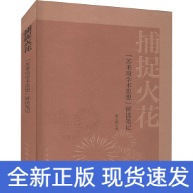 捕捉火花 