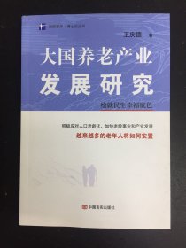 大国养老产业发展研究