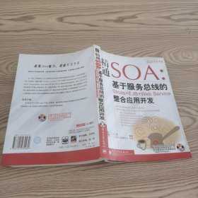 精通SOA：基于服务总线的整合应用开发