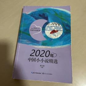 2020年中国小小说精选（2020中国年选系列）