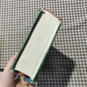 东南亚国家语言辞书系列:新越汉词典