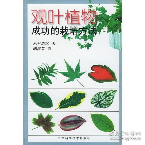 观叶植物成功的栽培方法