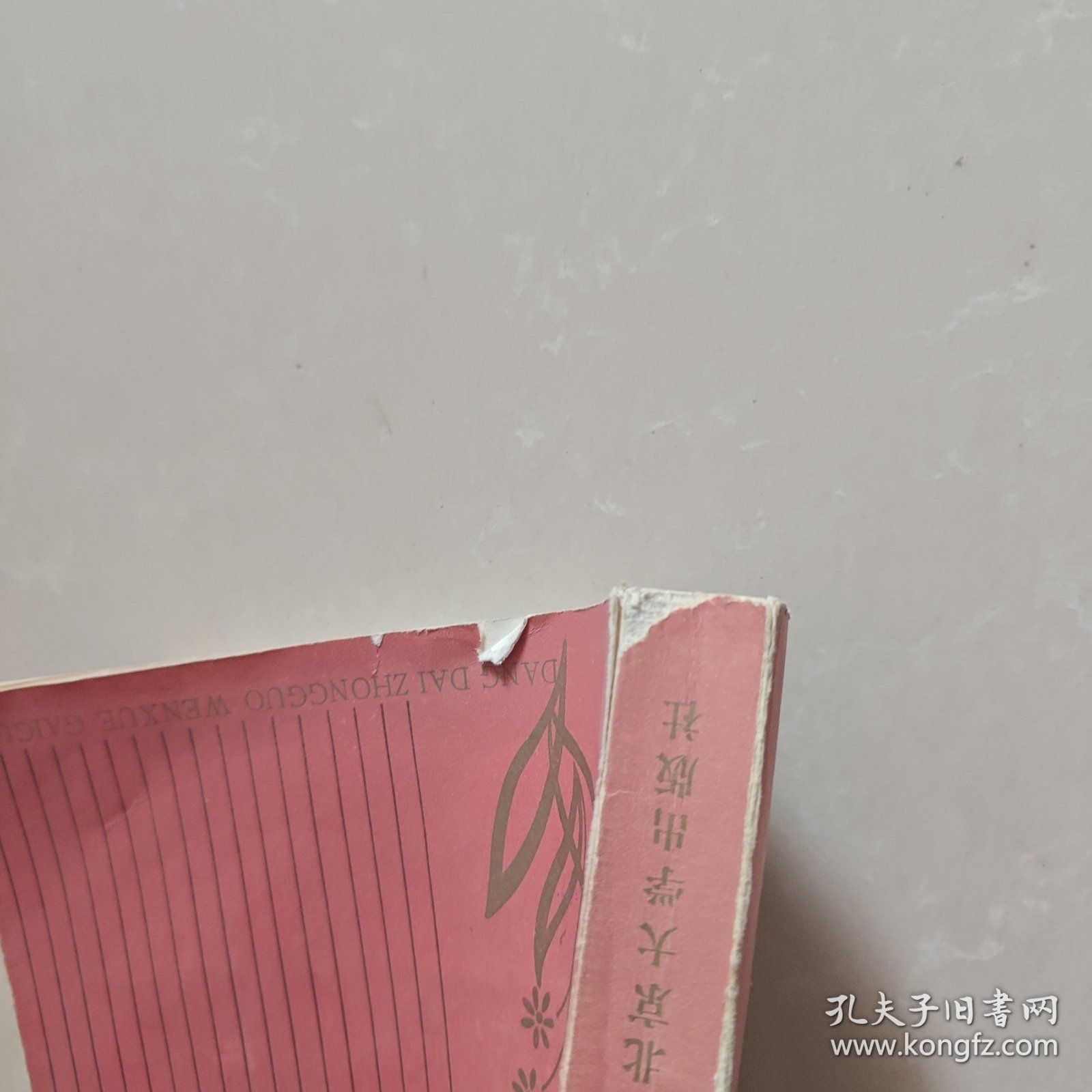 当代中国文学概观