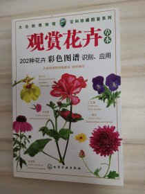 观赏花卉（草本）