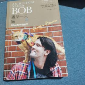 遇见一只猫:与Bob相伴的日子