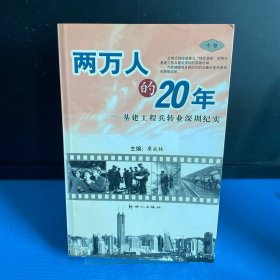 兩萬人的20年 中卷