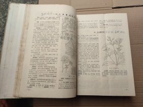 全国中草药汇编（上册）