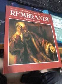 Rembrandt (Colour Library of Art) By Trewin Copplestone 48张彩色油画插图 含详细注释 27.5*23.5cm