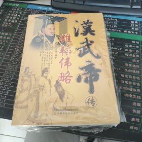 雄韬传略：汉武帝传