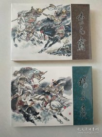 李元霸杨文广32开精装连环画