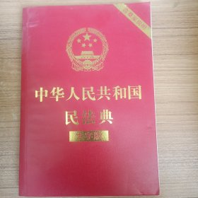 中华人民共和国民法典