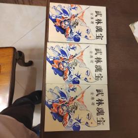老武侠1020：武林瑰宝（上中下）2