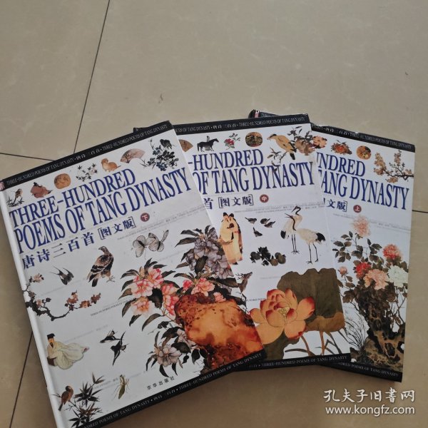 唐诗三百首:图文版 上中下