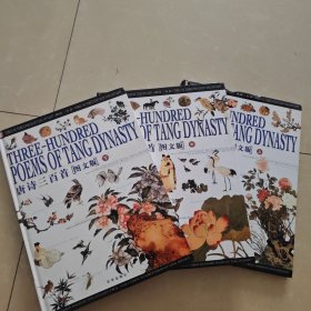 唐诗三百首:图文版 上中下