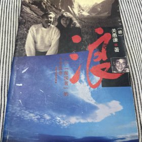 浪:一个“叛国者”的人生传奇