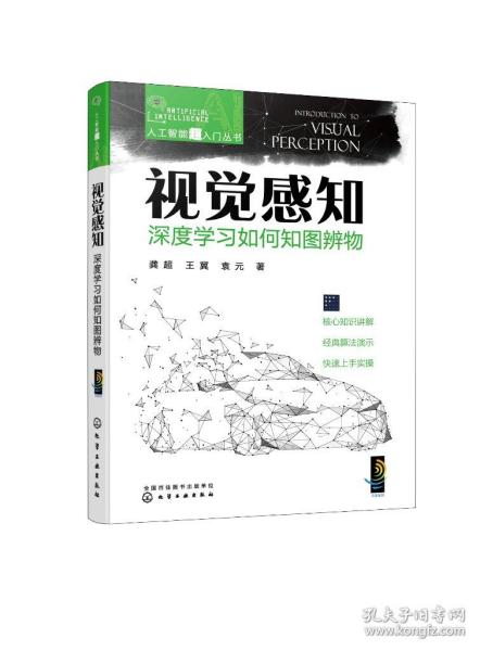 人工智能超入门丛书--视觉感知：深度学习如何知图辨物 ChatGPT聊天机器人入门