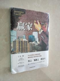 赢家（中国专业作家作品典藏文库.丁力卷）