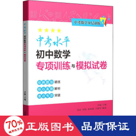 中考水平初中数学专项训练与模拟试卷