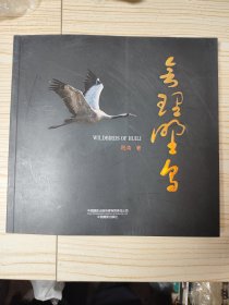 会理野鸟