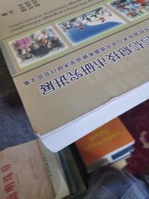 少数民族语言信息技术研究进展【中国少数民族语言信息技术与语言资源库建设学术研讨会论文集】（外品如图，内页干净，87品左右）