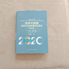 地球大数据支撑可持续发展目标报告（2020）：“一带一路”篇