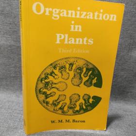 Organization in Plants