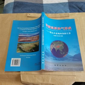 青藏高原油气形成:柴达木盆地西部新生界