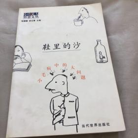 鞋里的沙-小毛病中的大问题