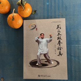 武氏太极拳诠真