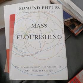 Mass Flourishing：How Grassroots Innovation Created Jobs, Challenge, and Change