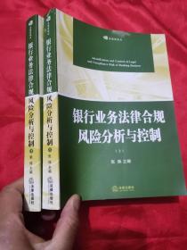 银行业务法律合规风险分析与控制（上下册）  16开