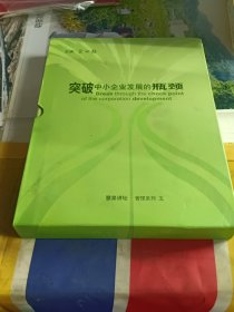 （8VCD）突破中小企业发展的瓶颈