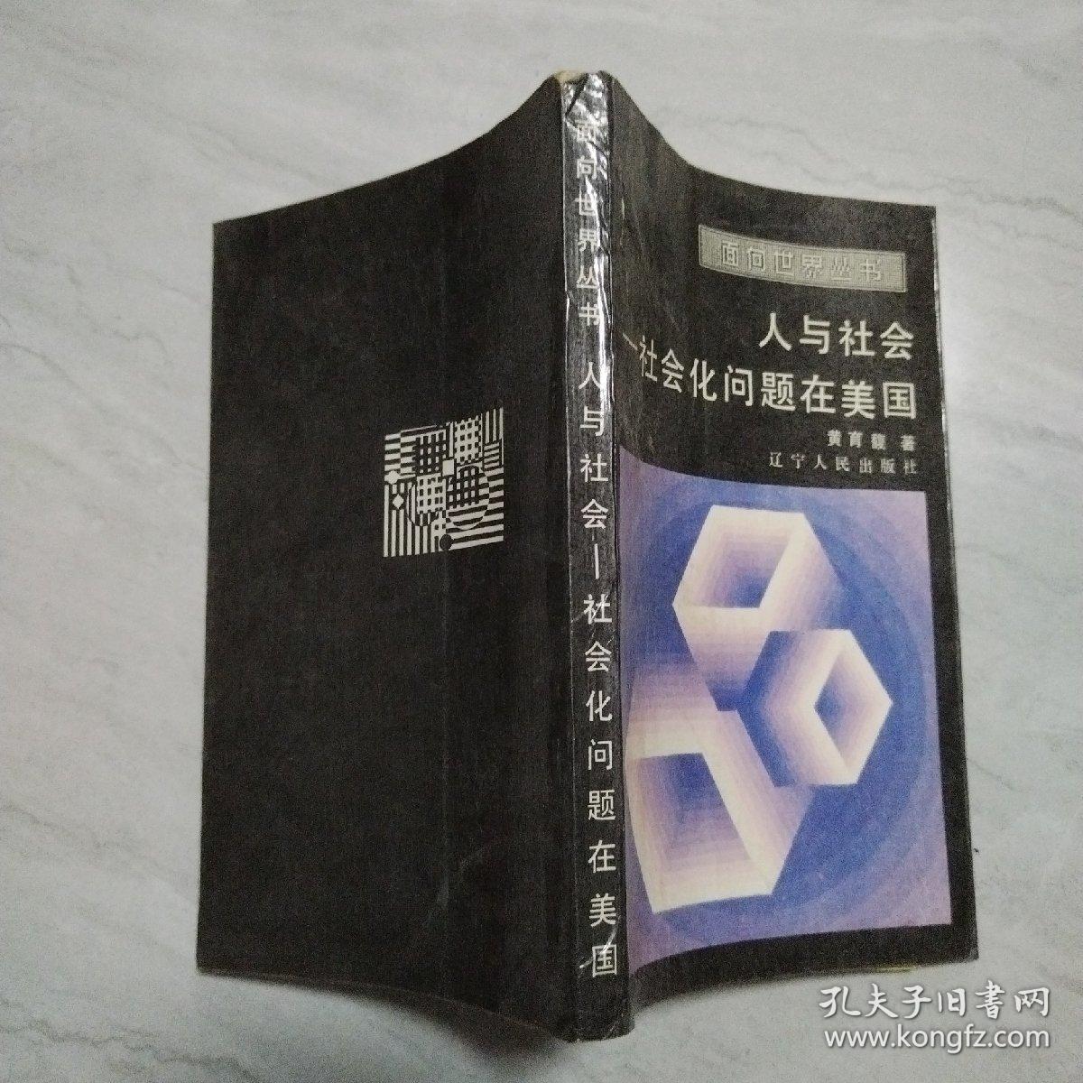 人与社会—社会化问题在美国