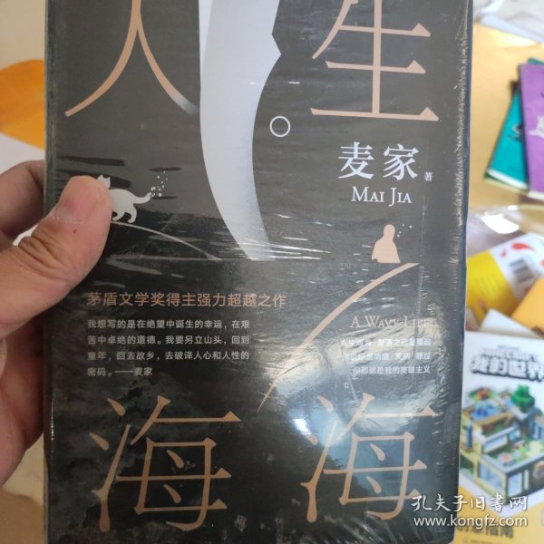 麦家：人生海海（茅盾文学奖得主麦家2019年强力之作）