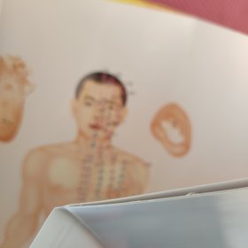 黄帝内经十二时辰养生法