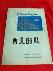 西北的瓜