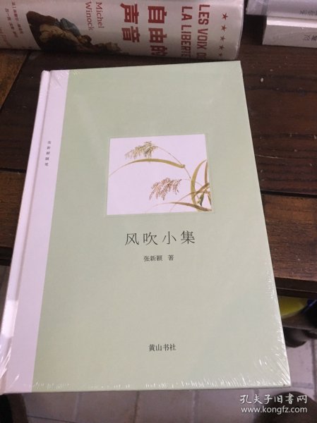 风吹小集