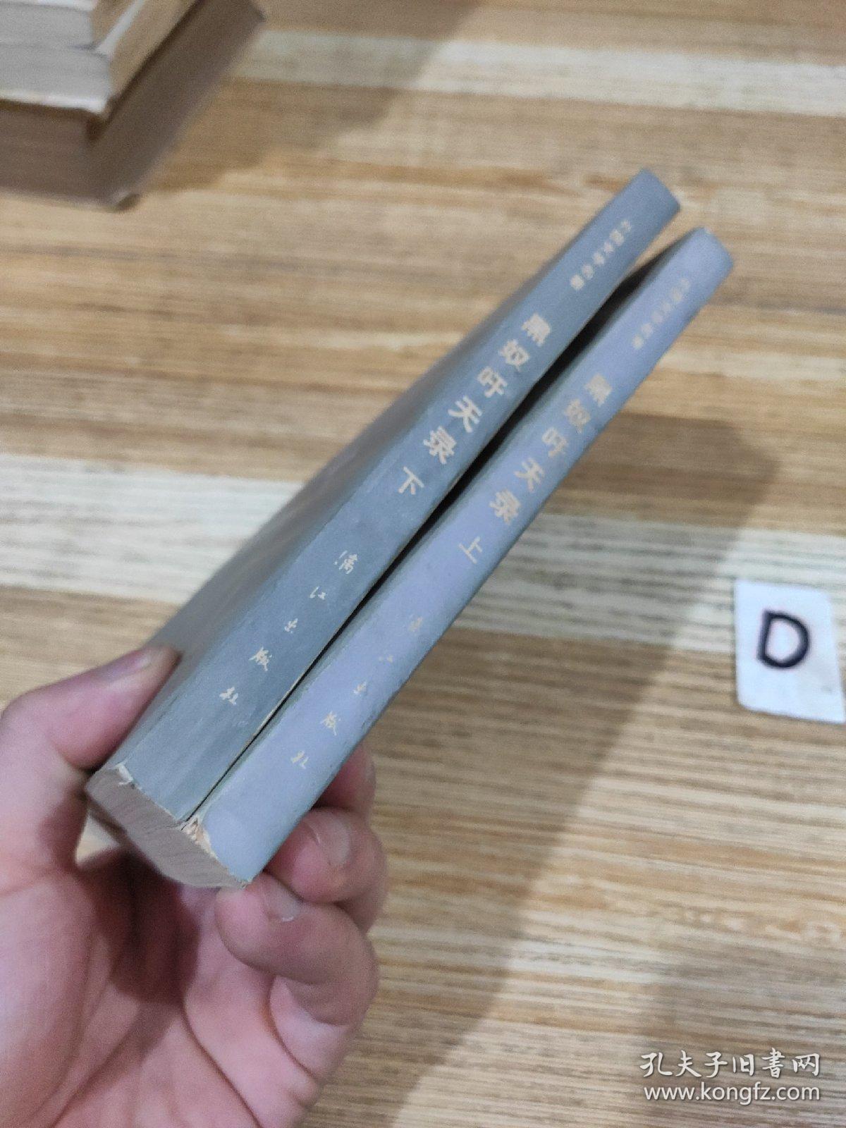 新译全本：黑奴吁天录（上下）