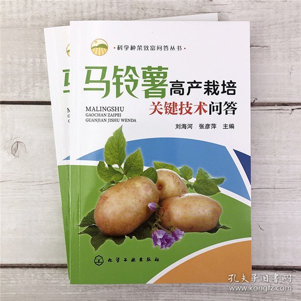 科学种菜致富问答丛书--马铃薯高产栽培关键技术问答