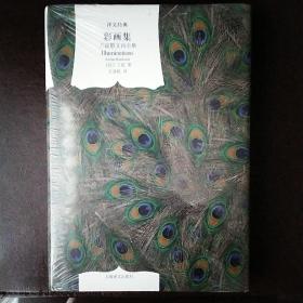 彩画集：兰波散文诗全集（译文经典）