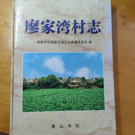 淮南廖家湾 村志 精装本 淮南田家庵廖家湾 淮南地方志资料