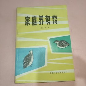 家庭养鹌鹑