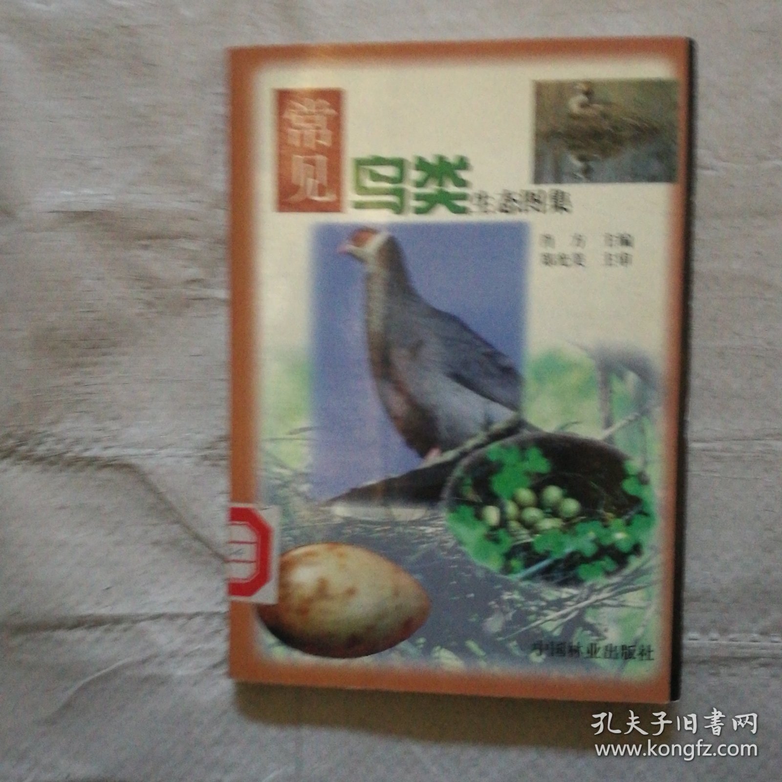 常见鸟类生态图集