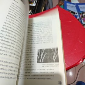 袁隆平口述自传