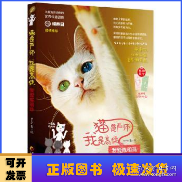 猫是严师，我是高徒